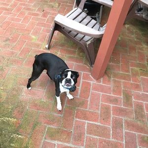 Meet your Posher, Chris